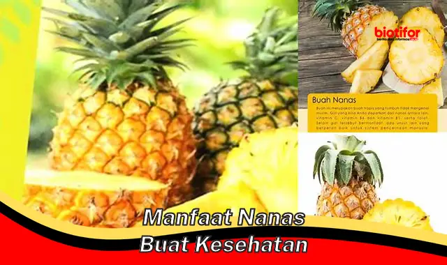 Ungkap Rahasia Manfaat Nanas bagi Kesehatan yang Jarang Diketahui