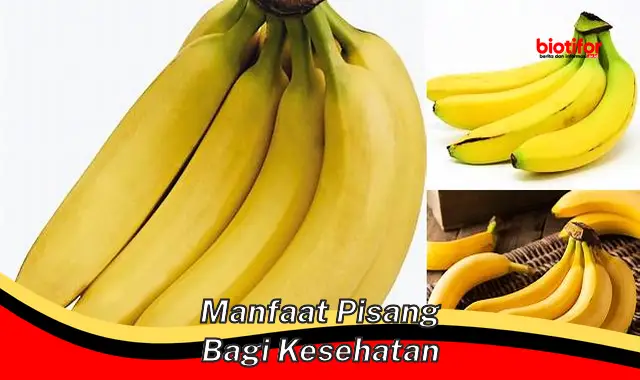 Temukan Manfaat Pisang untuk Kesehatan yang Jarang Diketahui