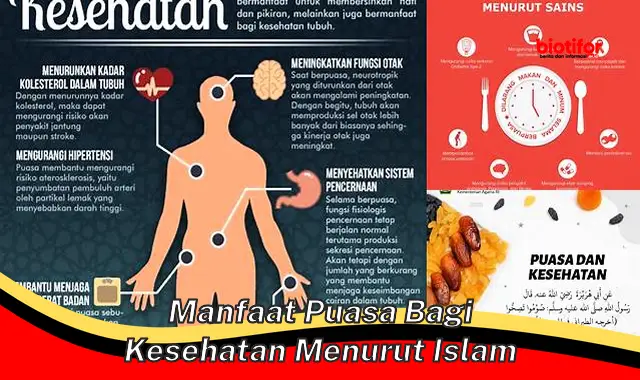 manfaat puasa bagi kesehatan menurut islam manfaat puasa bagi kesehatan menurut islam