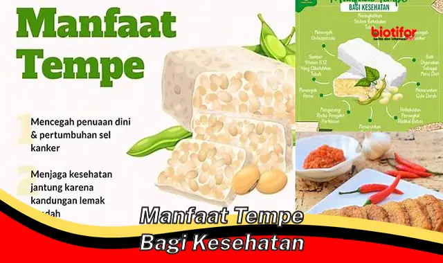 manfaat tempe bagi kesehatan manfaat tempe bagi kesehatan