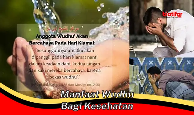 Temukan Manfaat Wudhu bagi Kesehatan yang Jarang Diketahui