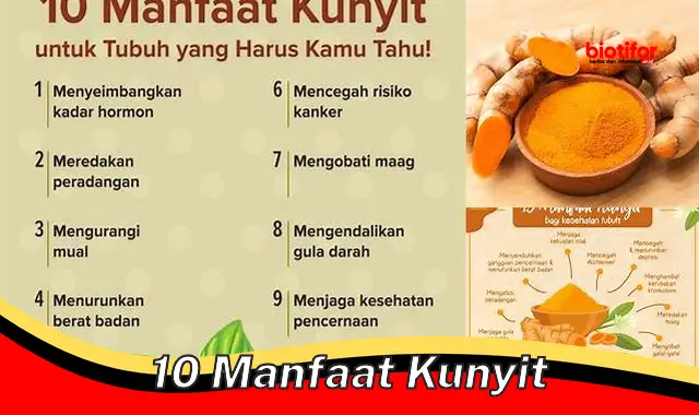 Temukan 10 Khasiat Kunyit yang Perlu Kamu Tahu dan Jarang Diketahui