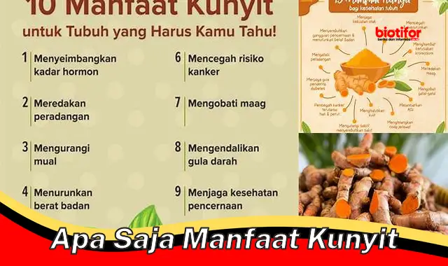 Menguak Manfaat Kunyit yang Belum Banyak Diketahui