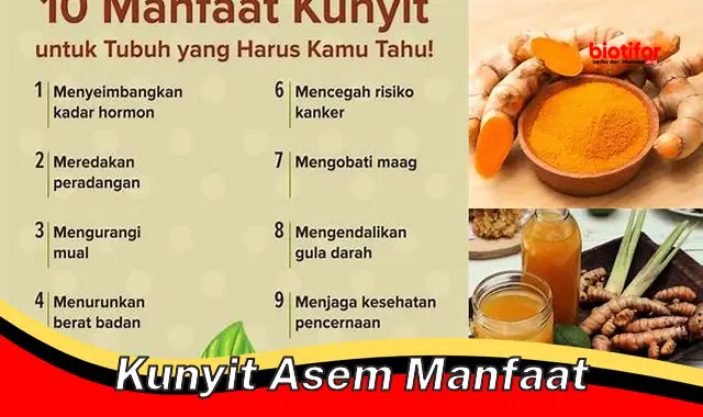 Temukan 5 Manfaat Kunyit Asem yang Jarang Diketahui