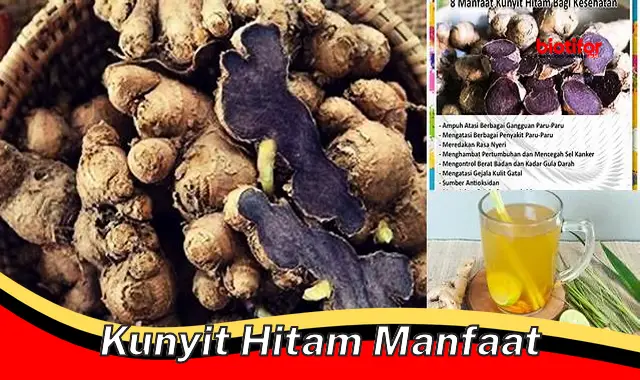 5 Manfaat Kunyit Hitam yang Jarang Diketahui