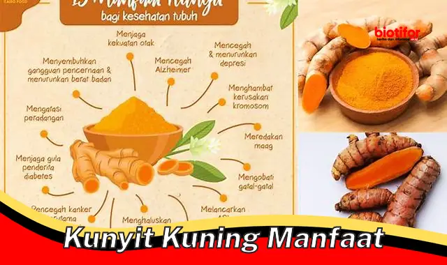 Temukan Manfaat Kunyit Kuning yang Jarang Diketahui!