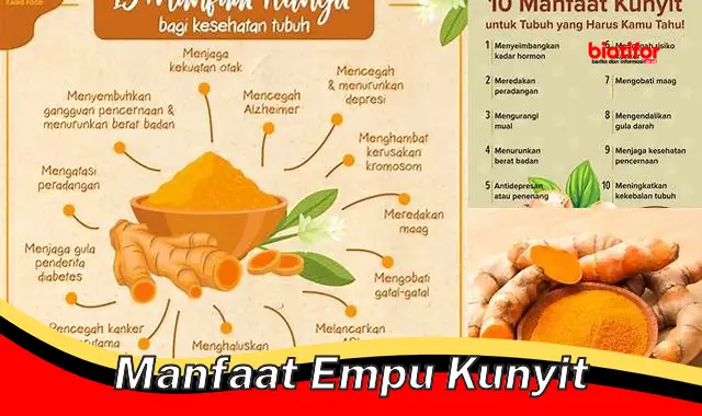 Temukan Rahasia Empu Kunyit yang Jarang Diketahui