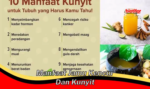 Temukan Segudang Manfaat Jamu Kencur dan Kunyit yang Jarang Diketahui