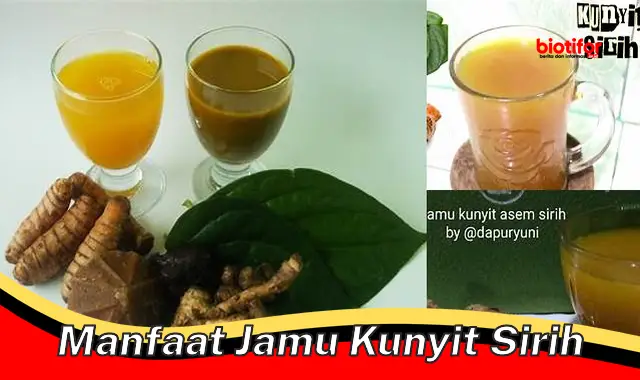 Temukan Manfaat Jamu Kunyit Sirih yang Jarang Diketahui