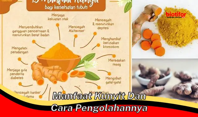 Temukan Khasiat Kunyit yang Jarang Diketahui dan Cara Pengolahannya