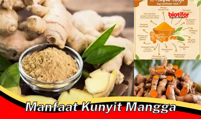 Temukan Manfaat Kunyit Mangga yang Jarang Diketahui