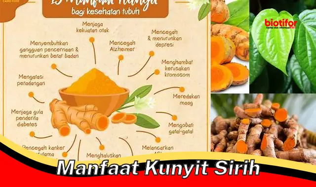 Temukan Rahasia Kunyit Sirih Yang Jarang Diketahui