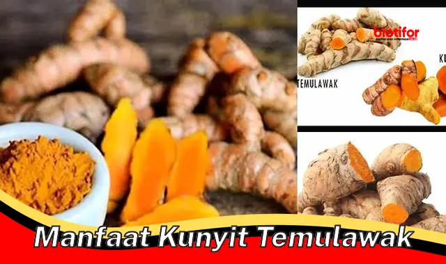 Temukan Manfaat Kunyit Temulawak yang Tak Pernah Anda Tahu