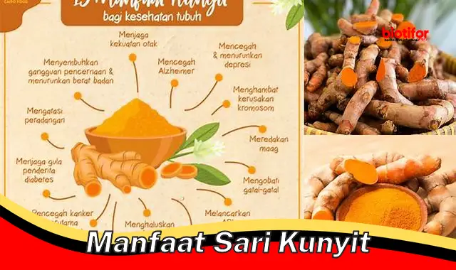 Temukan Manfaat Sari Kunyit yang Jarang Diketahui