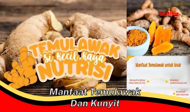 5 Manfaat Temulawak dan Kunyit yang Jarang Diketahui