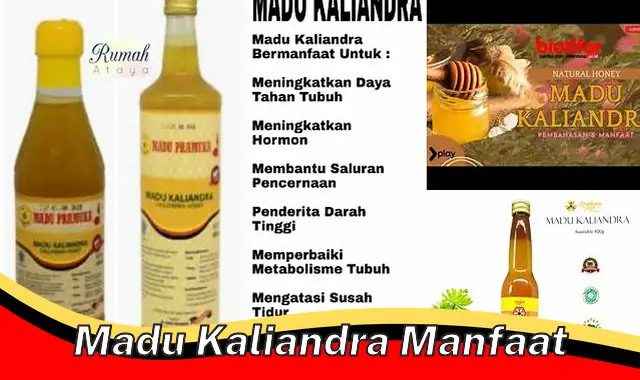 Manfaat Madu Kaliandra yang Jarang Diketahui