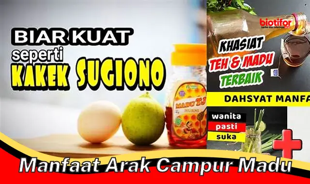 Temukan Manfaat Arak Campur Madu yang Jarang Diketahui