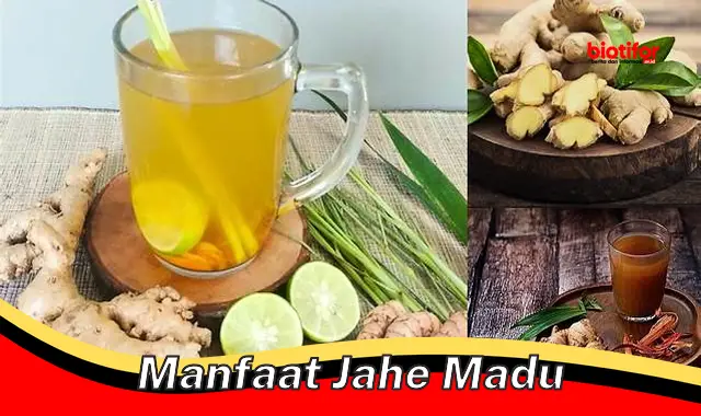 Temukan Manfaat Jahe Madu Jarang Diketahui yang Perlu Kamu Tahu