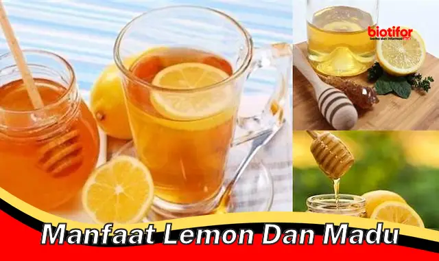 Bongkar Rahasia Manfaat Lemon dan Madu yang Jarang Diketahui!