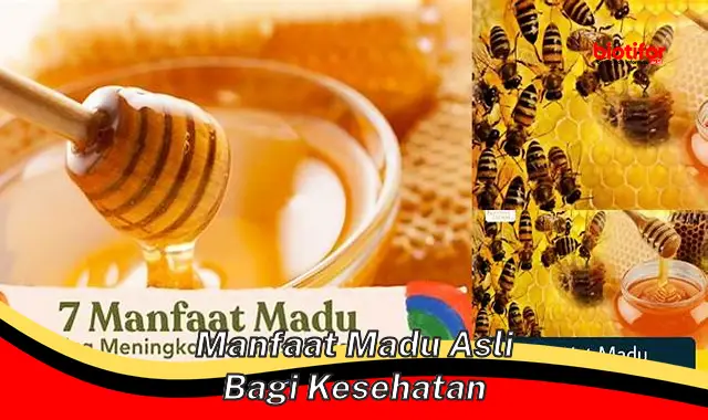 Temukan 5 Manfaat Madu Asli yang Jarang Diketahui bagi Kesehatan