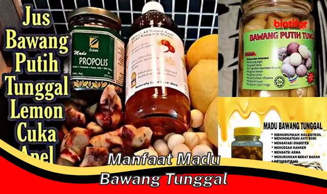 manfaat madu bawang tunggal manfaat madu bawang tunggal