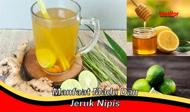 Temukan Manfaat Madu dan Jeruk Nipis yang Jarang Diketahui