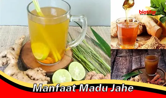 Temukan 5 Manfaat Madu Jahe yang Jarang Diketahui