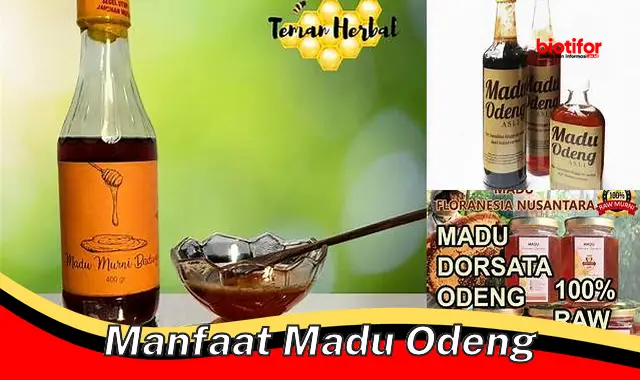 5 Manfaat Madu Odeng yang Jarang Diketahui