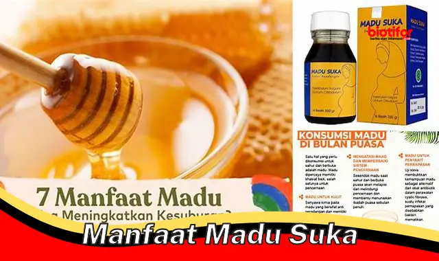 manfaat madu suka manfaat madu suka