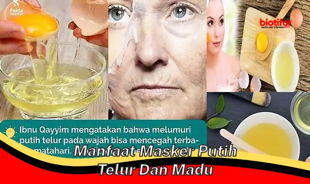 Temukan Manfaat Dahsyat Masker Putih Telur dan Madu yang Jarang Diketahui!