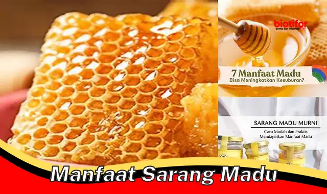 Temukan Manfaat-Manfaat Sarang Madu yang Jarang Diketahui