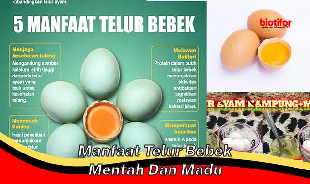 Temukan Rahasia Manfaat Telur Bebek Mentah dan Madu yang Jarang Diketahui