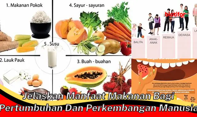 Temukan Manfaat Makanan untuk Tumbuh Kembang yang Jarang Diketahui