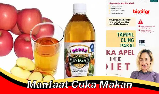 Temukan Manfaat Cuka Makan yang Jarang Diketahui yang Perlu Anda Ketahui