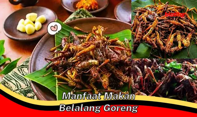 5 Keunikan Makan Belalang Goreng yang Jarang Diketahui