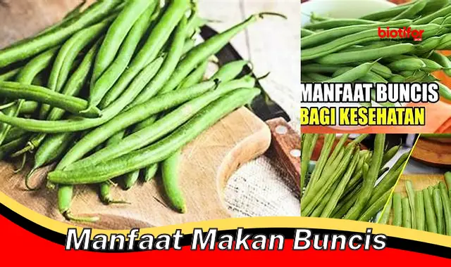 Temukan Manfaat Rahasia Makan Buncis yang Perlu Anda Ketahui