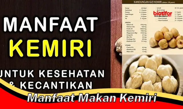 Temukan Manfaat Makan Kemiri yang Belum Banyak Diketahui