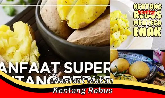 5 Manfaat Makan Kentang Rebus yang Jarang Diketahui