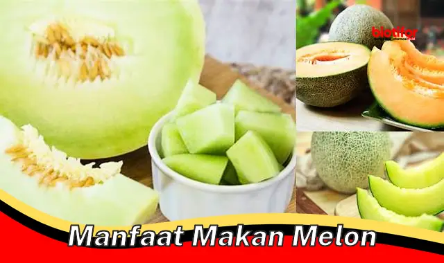 Temukan 5 Manfaat Makan Melon yang Perlu Anda Ketahui