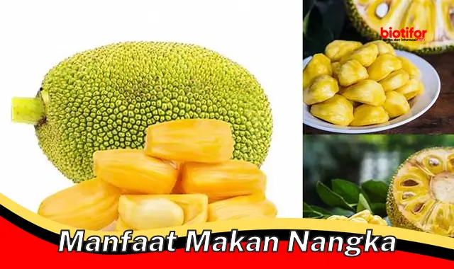 Temukan 5 Manfaat Makan Nangka yang Jarang Diketahui