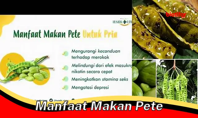 Temukan Manfaat Makan Pete Jarang Diketahui