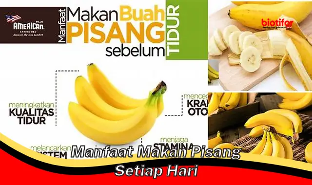 Temukan Manfaat Makan Pisang Setiap Hari yang Belum Kamu Ketahui