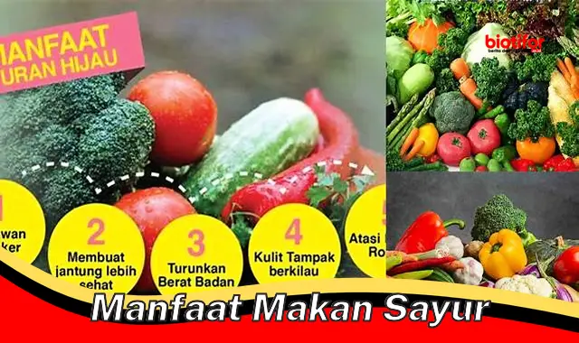 Temukan Manfaat Makan Sayur Jarang Diketahui yang Perlu Anda Tahu