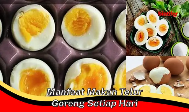 Ungkap 5 Manfaat Makan Telur Goreng Tiap Hari yang Jarang Diketahui