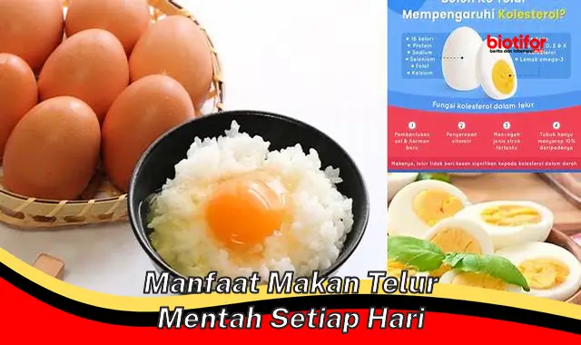 Temukan Khasiat Makan Telur Mentah Tiap Hari yang Jarang Diketahui