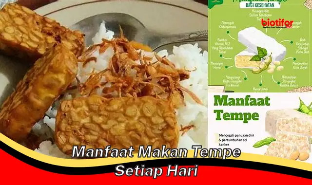 Temukan Rahasia Tempe yang Jarang Diketahui, 5 Manfaat Rutin Makan Tempe Setiap Hari