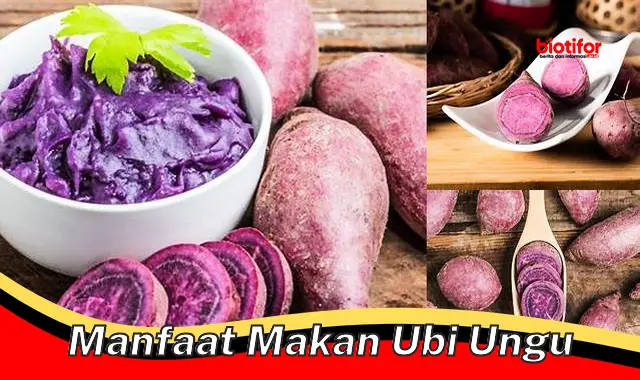 Temukan Manfaat Makan Ubi Ungu yang Jarang Diketahui