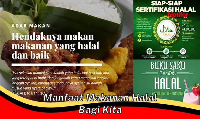 manfaat makanan halal bagi kita manfaat makanan halal bagi kita
