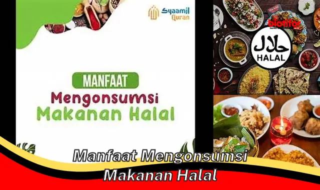 manfaat mengonsumsi makanan halal manfaat mengonsumsi makanan halal