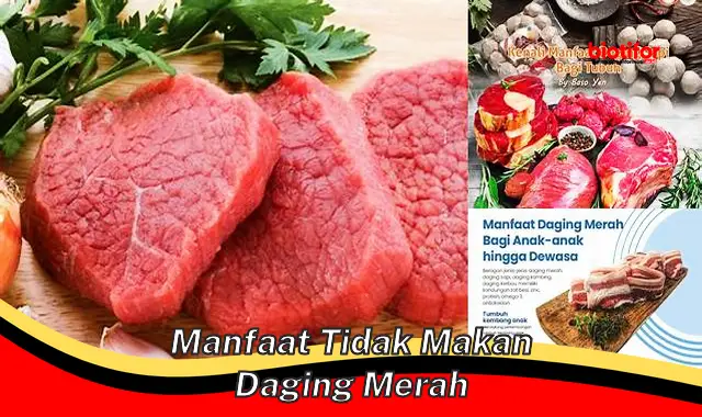 manfaat tidak makan daging merah manfaat tidak makan daging merah